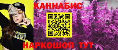 твердый Гатчина