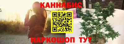 Альфа ПВП Камышлов
