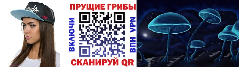 хочу Кизляр Псилоцибиновые грибы MAGIC MUSHROOMS