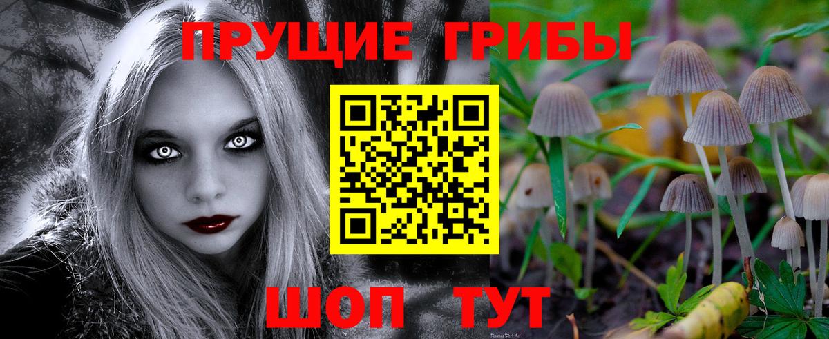 Псилоцибиновые грибы Magic Shrooms Кизляр