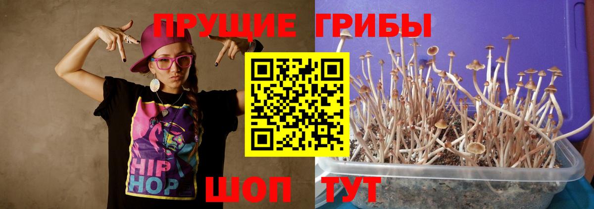 Псилоцибиновые грибы Magic Shrooms  Вход с VPN  Галлюциногенные грибы MAGIC MUSHROOMS  Кизляр 