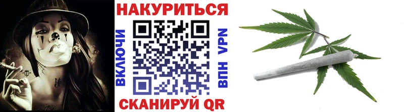 Конопля план  купить наркоту  Кизляр 